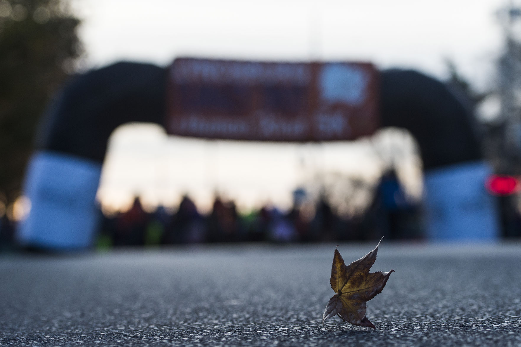LNA 11242017 Turkey Trot 03